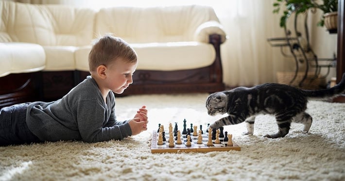 Tu Gato: tu mejor aliado durante el confinamiento